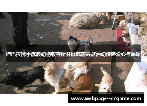 迪巴拉携手流浪动物收容所开展慈善筹款活动传递爱心与温暖 迪巴拉携手流浪动物收容所开展慈善筹款活动传递爱心与温暖